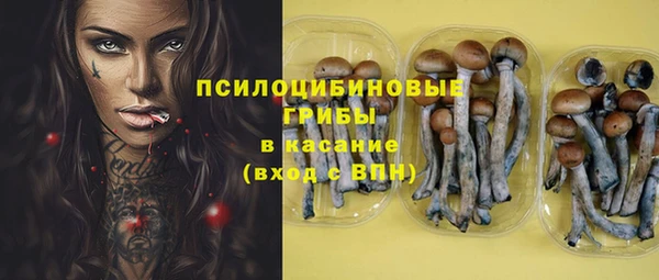дмт Магадан