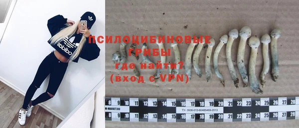 дмт Майский