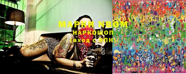 прущие грибы Магас