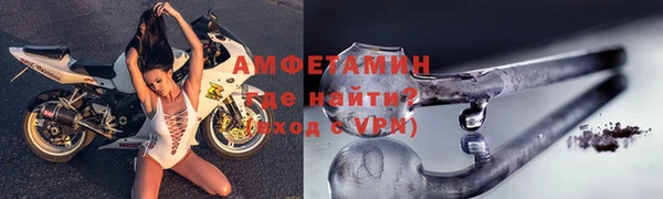 прущие грибы Магас