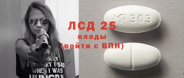 прущие грибы Магас