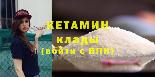 прущие грибы Магас