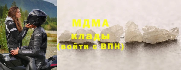 прущие грибы Магас