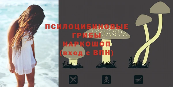 дмт Майский