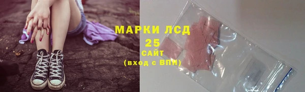 прущие грибы Магас