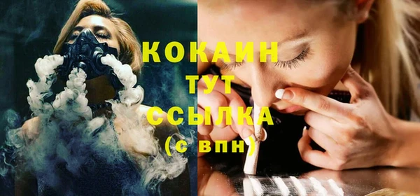 прущие грибы Магас