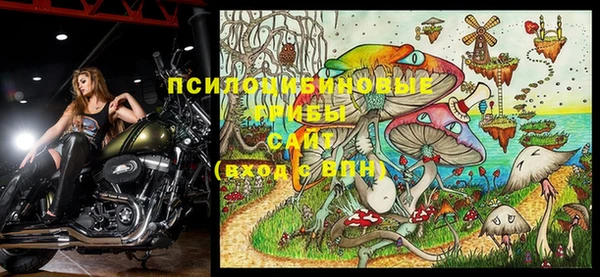 дмт Майский