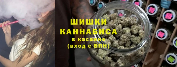 прущие грибы Магас