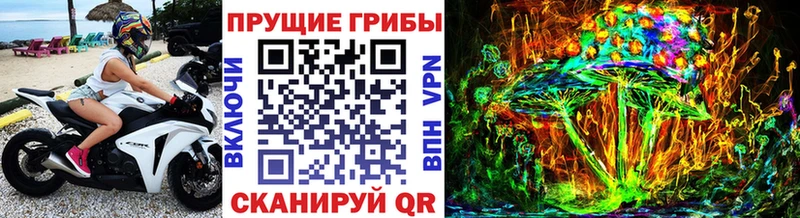 Галлюциногенные грибы GOLDEN TEACHER  darknet Telegram  Родники  дарнет шоп 