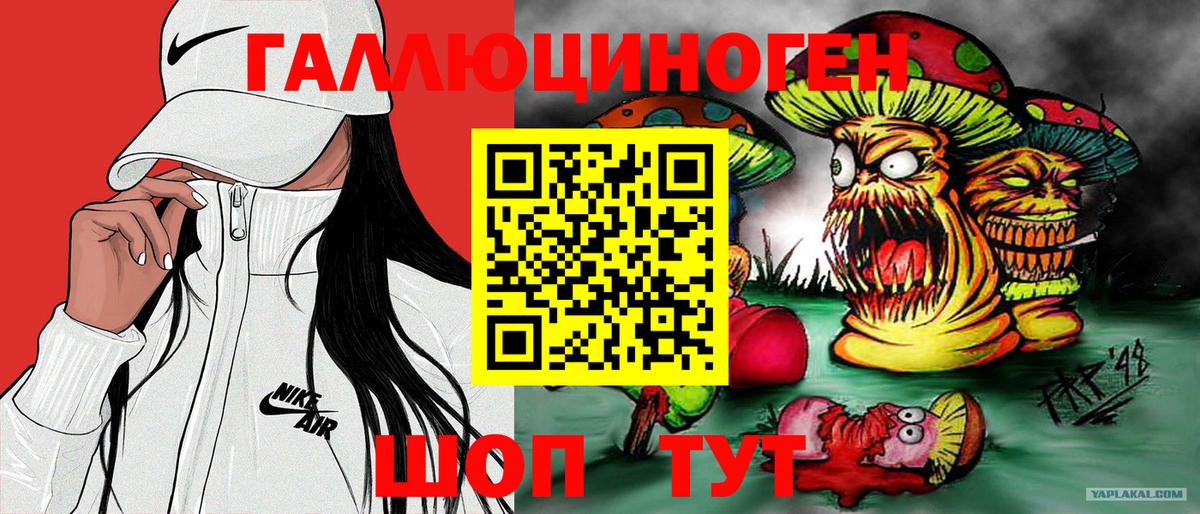 Псилоцибиновые грибы Cubensis  Родники 