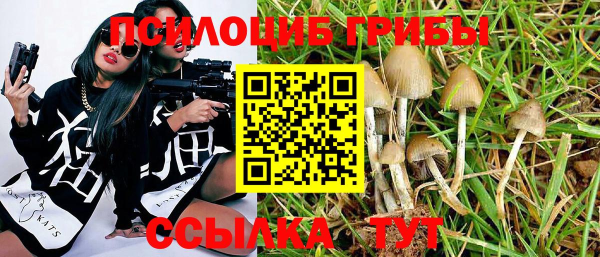 Галлюциногенные грибы ЛСД Родники