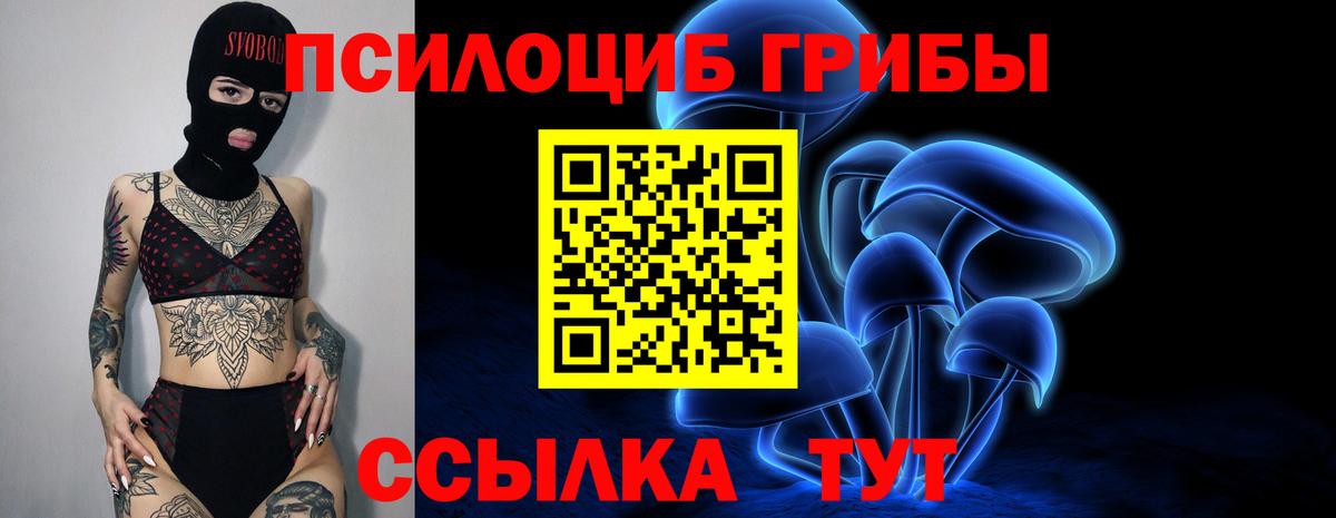 Псилоцибиновые грибы мухоморы  Псилоцибиновые грибы GOLDEN TEACHER  Родники  Вход с VPN 