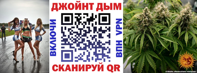 Канабис OG Kush  Родники 