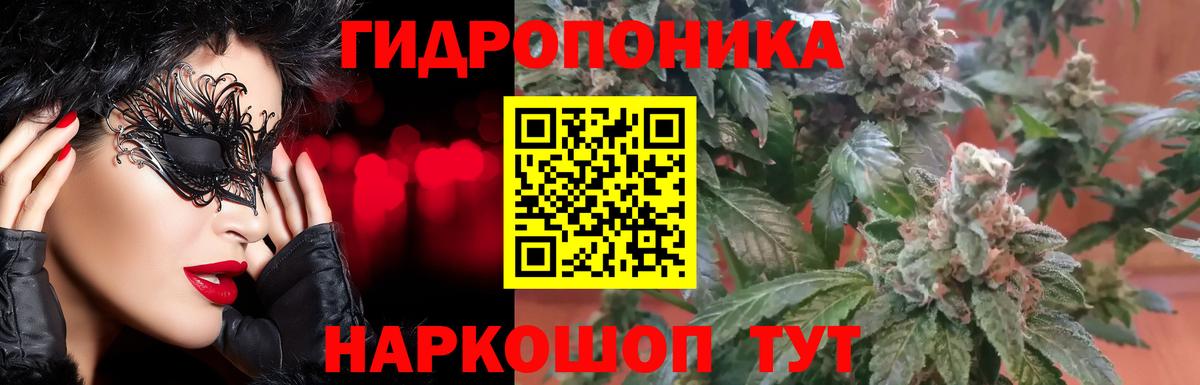 Канабис LSD WEED  Канабис индика  Марихуана гибрид  Родники  Шишки марихуана SATIVA & INDICA 